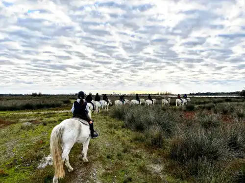 A cavallo nel cuore del Parco del Delta del Po