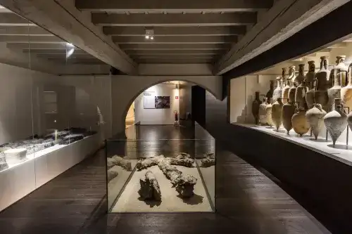 Museo Delta Antico guided tour 