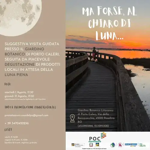 Ma forse, al chiaro di luna...