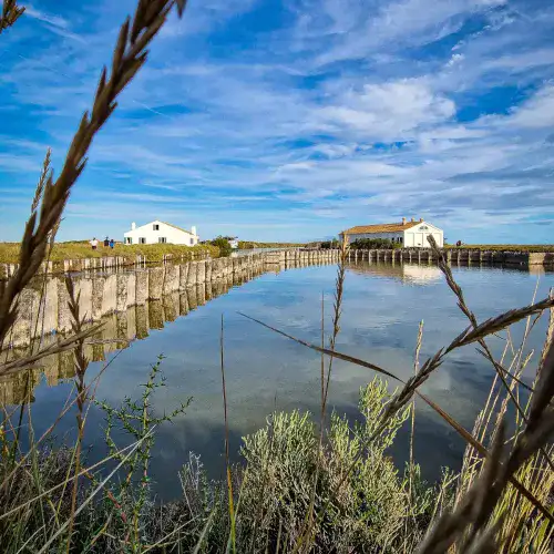 Comacchio Lagoon by Boat