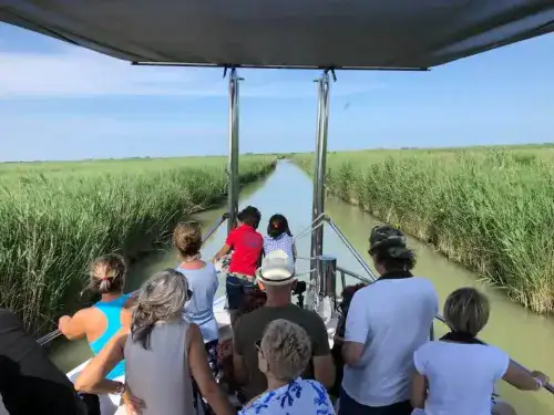 Minicruise between Beaches and Lagoons of the Delta by Albatros Motorboat