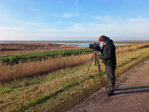 Birdwatching im Po Delta